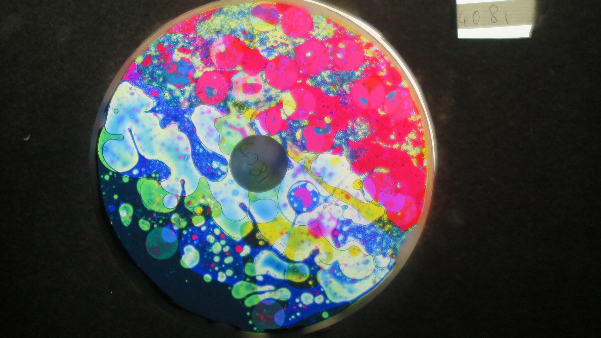 BV4081 bubble vision oil wheel